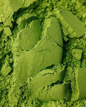 CEREMONIAL GRADE MATCHA